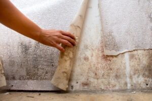 A hand peeling away wallpaper to show excessive black mould on a wall.